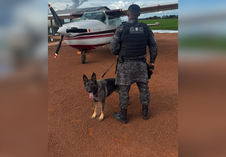 piloto-e-preso-e-aviao-apreendido-no-tocantins-apos-policia-encontrar-drogas-e-folhas-de-coca