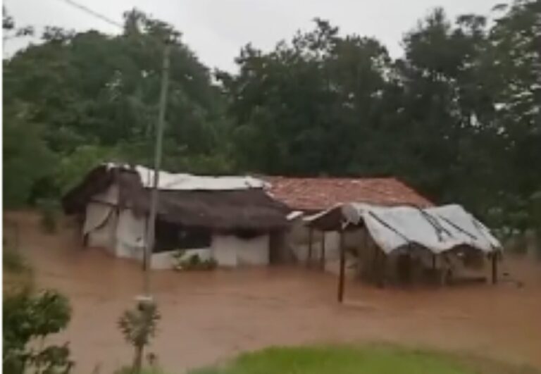 mulher-entra-em-desespero-ao-ver-casa-sendo-alagada-em-povoado-do-tocantins;-video