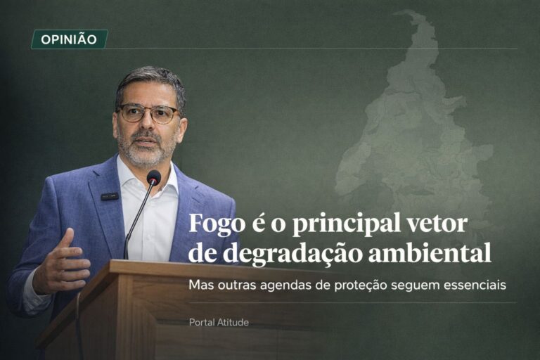 artigo/opiniao:-marcello-de-lima-lelis/-no-tocantins,-o-maior-desafio-ambiental-hoje-e-o-fogo