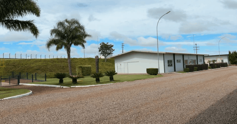 bayer-quer-recolocar-monsoy-no-centro-da-estrategia-do-mercado-de-soja