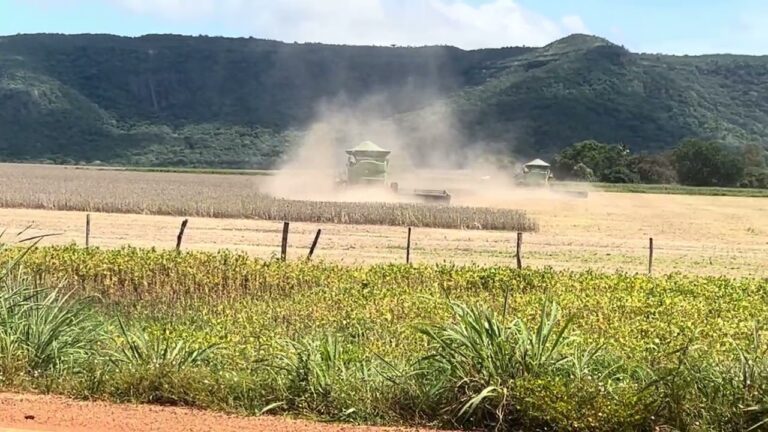 apos-semanas-de-chuva-intensa,-produtores-correm-para-retomar-colheita-de-soja-no-tocantins