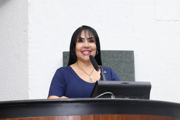 deputada-janad-solicita-pocos-artesianos-para-garantir-acesso-a-agua-em-comunidades-de-mateiros