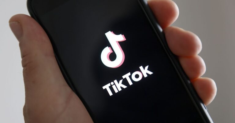 brasileiros-estao-usando-tiktok-para-estudar,-diz-pesquisa