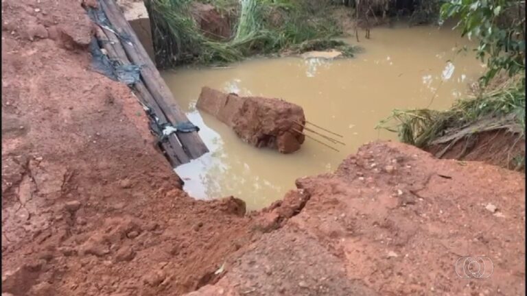 videos:-jornal-do-campo-–-to-de-domingo,-15-de-marco-de-2026