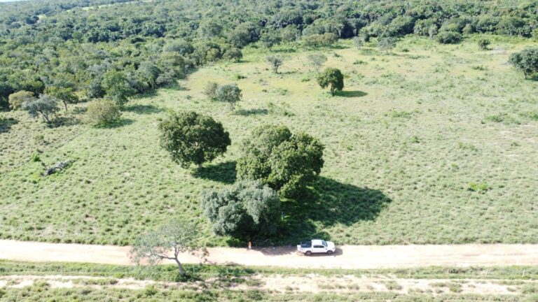 mecanico-e-avistado-por-drone-e-equipe-usa-trator-para-diminuir-pasto-na-regiao-de-buscas