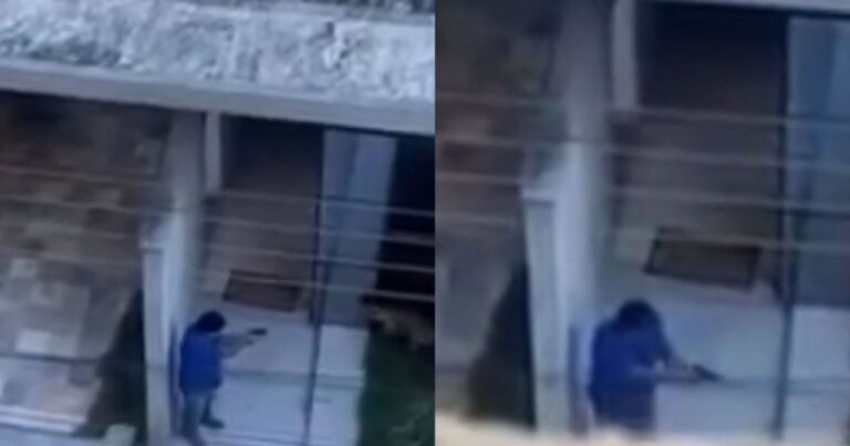 homem-e-preso-apos-matar-cao-a-tiros-em-minas-gerais;-veja-video