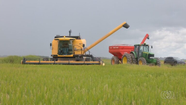 videos:-jornal-do-campo-–-to-de-domingo,-22-de-marco-de-2026