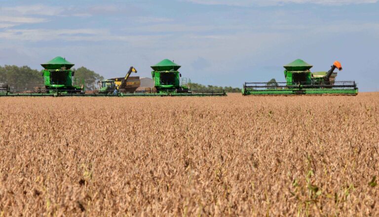 tocantins-registra-o-segundo-maior-crescimento-economico-do-brasil-nos-ultimos-30-anos