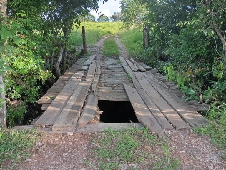 antiga-promessa-pode-dar-lugar-a-realidade;-moradores-comemoram-construcao-de-ponte