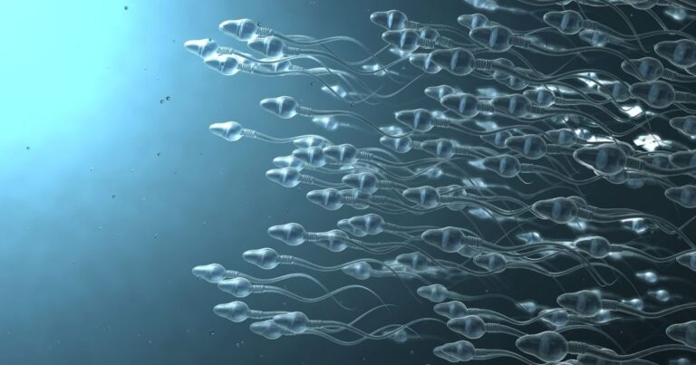 espermatozoide-se-perde-ao-tentar-fecundar-ovulo-na-microgravidade