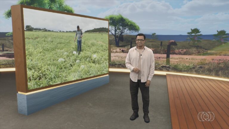 videos:-jornal-do-campo-–-to-deste-domingo,-29-de-marco-de-2026