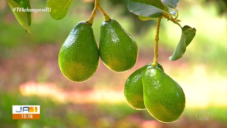 VÍDEOS: Jornal Anhanguera 1ª edição deste sábado (4) videos:-jornal-anhanguera-1a-edicao-deste-sabado-(4)